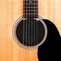 PLANETWAVES PW-ASHH-01 SES DELİĞİ KAPAĞI, AKUSTİK GİTARLARA UYGUNDUR, Planet Waves Screeching Halt Humidifier for Acoustic Guitar 